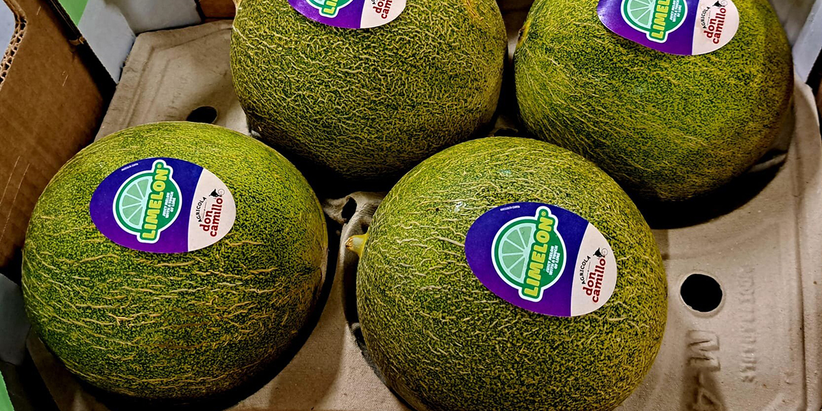 Limelon, melone o lime?